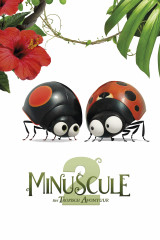 Minuscule 2