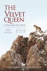 The Velvet Queen