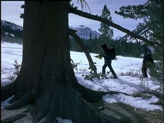 Crash point Zero