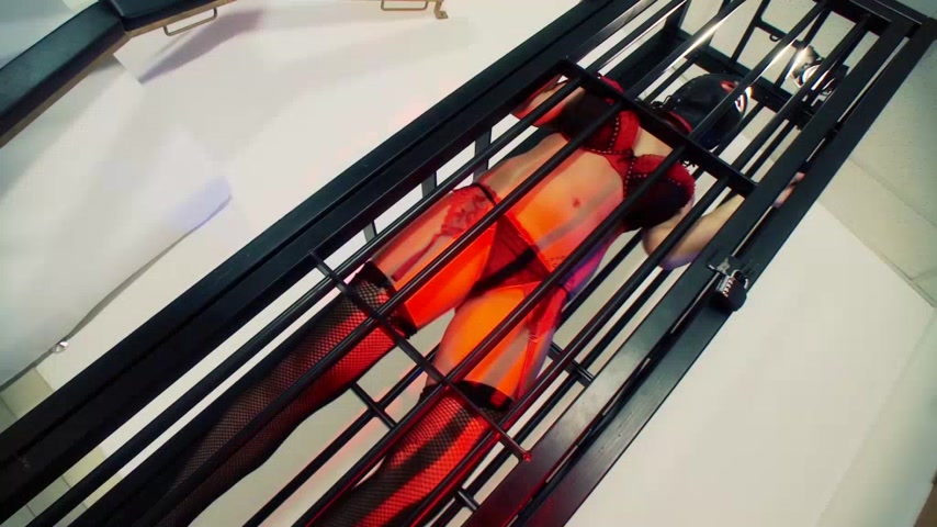 Latex and Sex 1