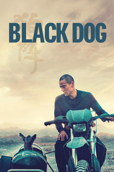 Black Dog