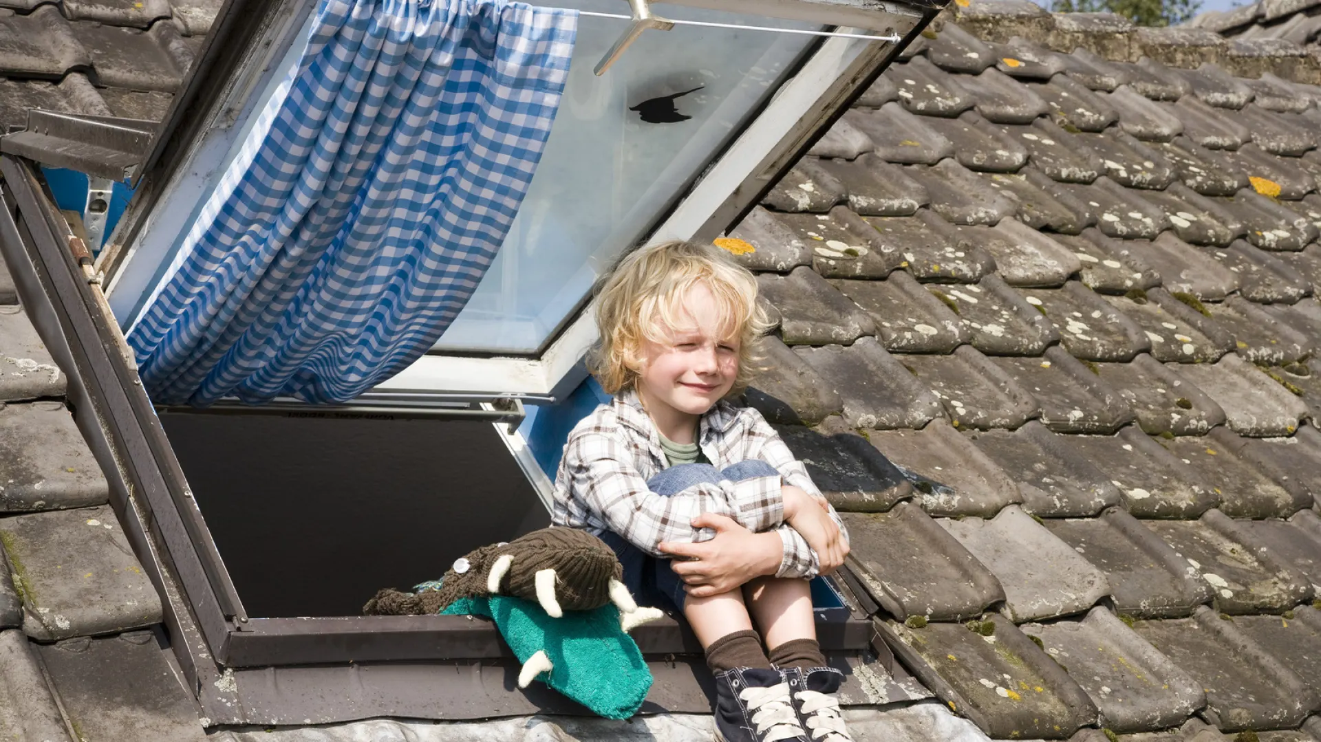 Background image for Morrison krijgt een zusje