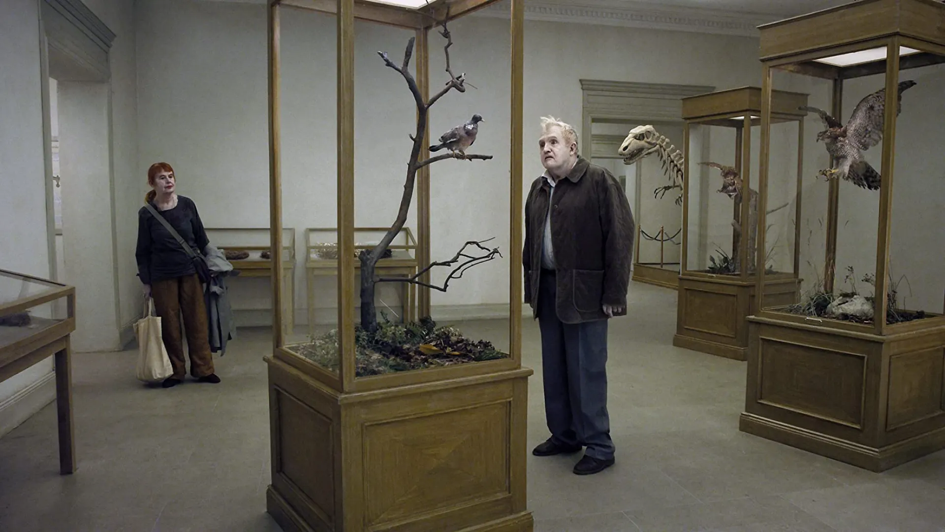 Background image for A Pigeon Sat on a Branch Reflecting on Existence