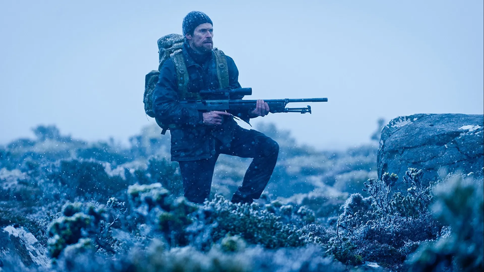 Background image for The Hunter