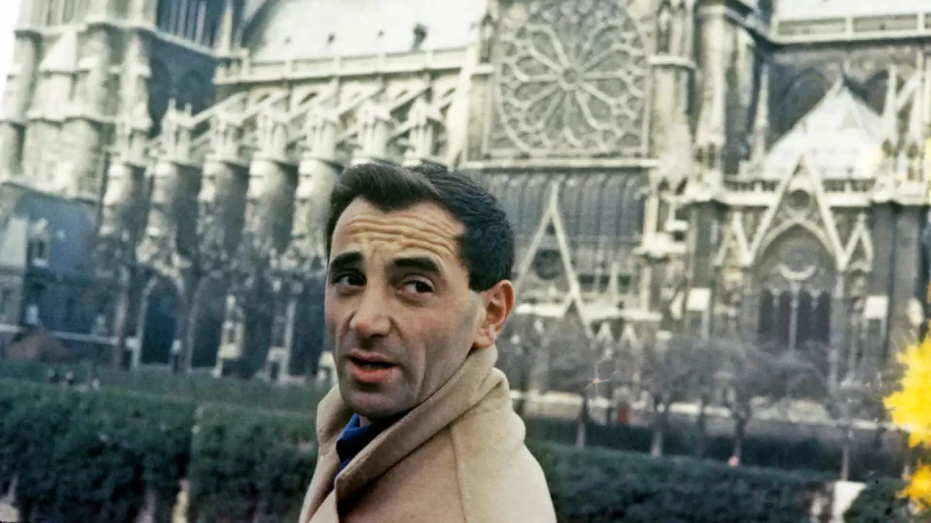 Background image for Aznavour, le regard de Charles