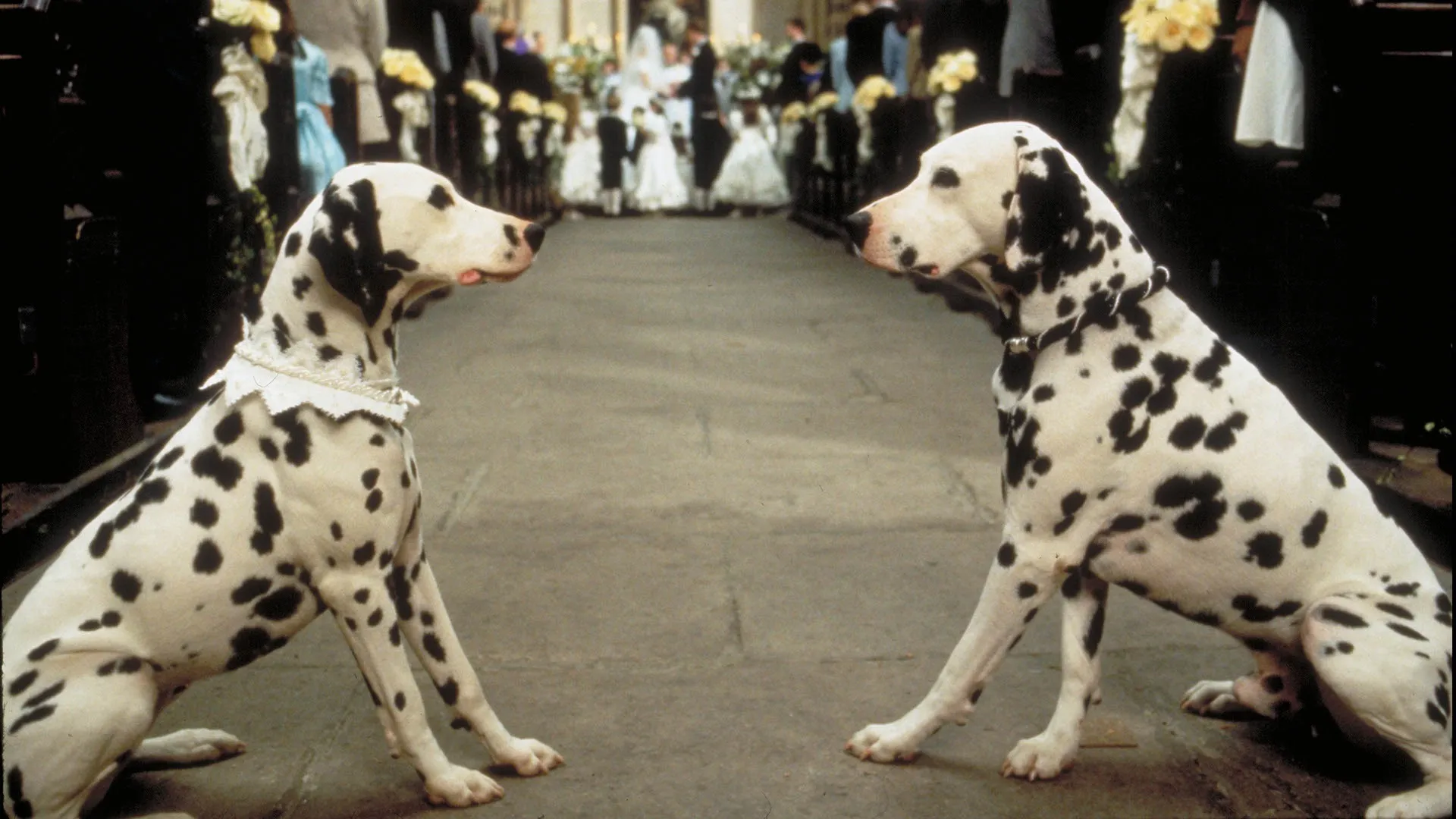 101 Dalmatians