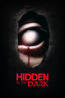 Hidden in the Dark