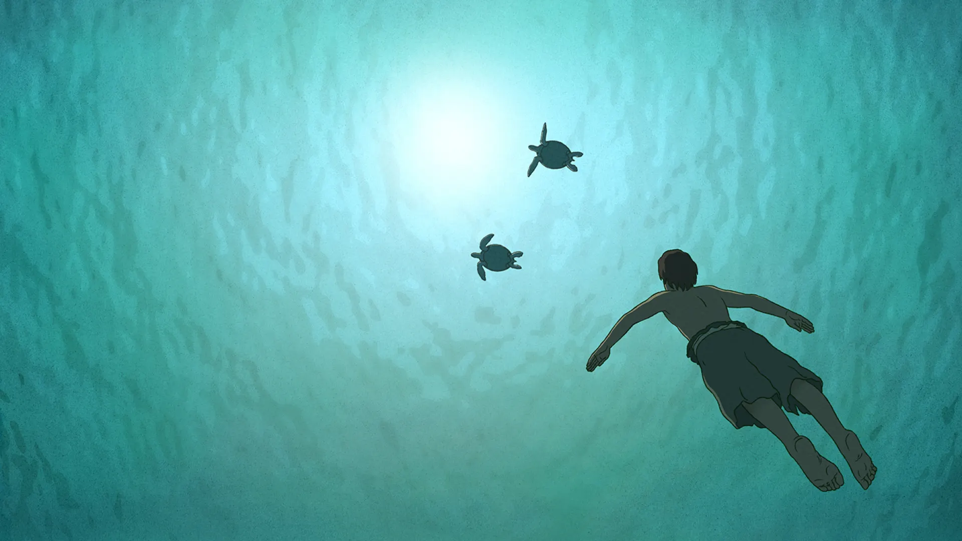Background image for The Red Turtle