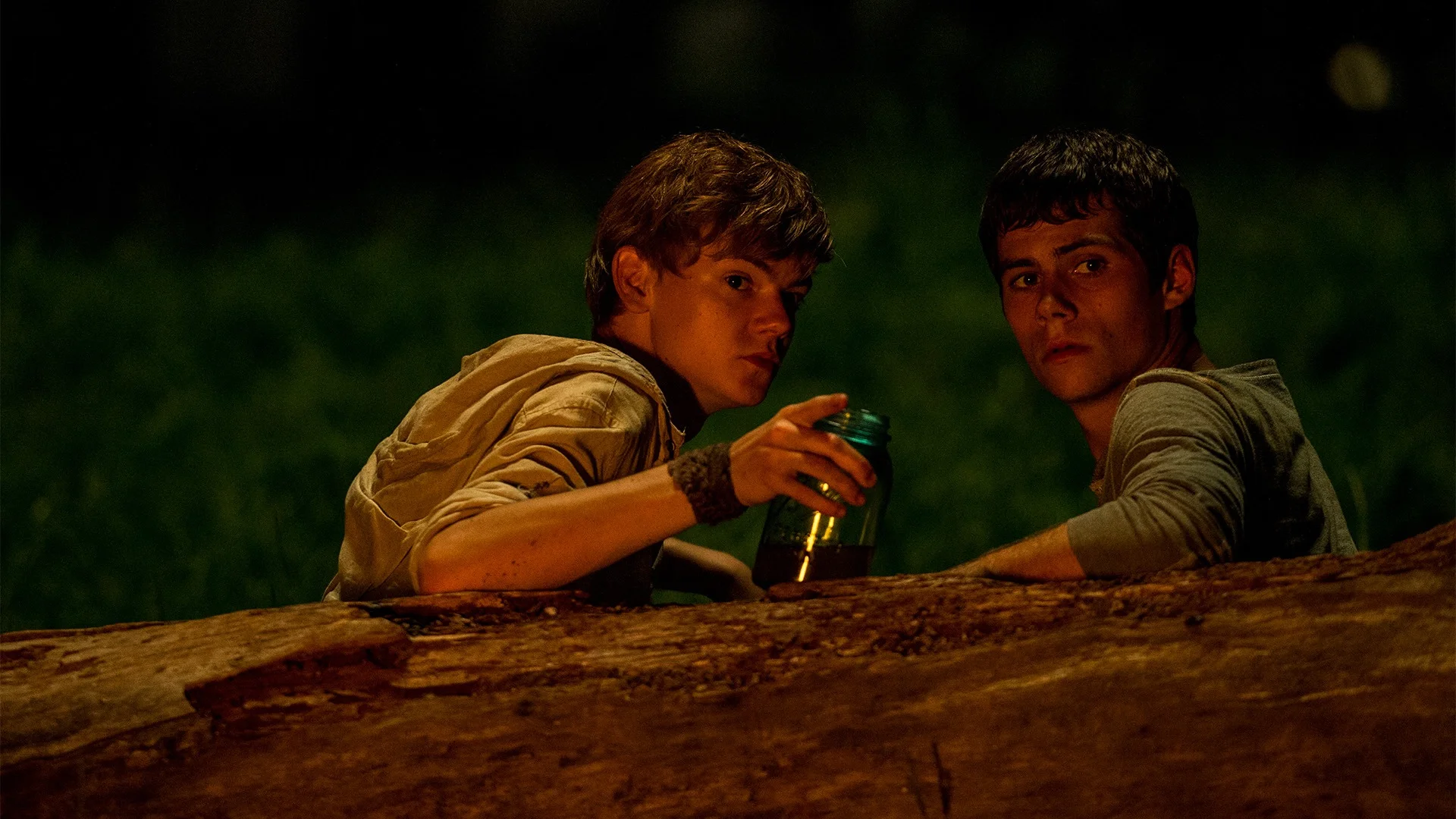 The Maze Runner