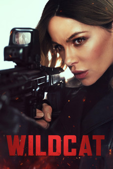 Wildcat