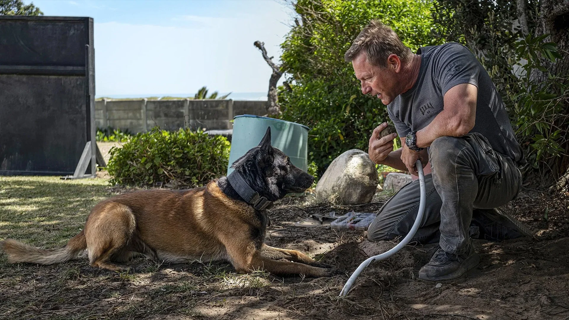 Muzzle 2: City of Wolves