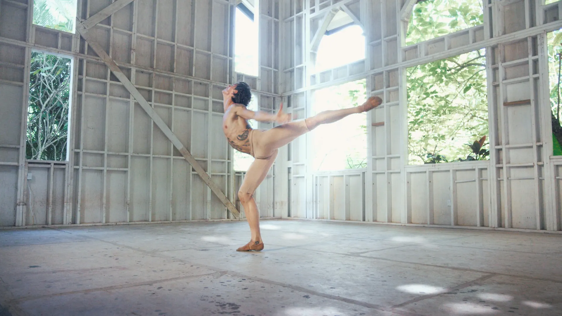Background image for Dancer