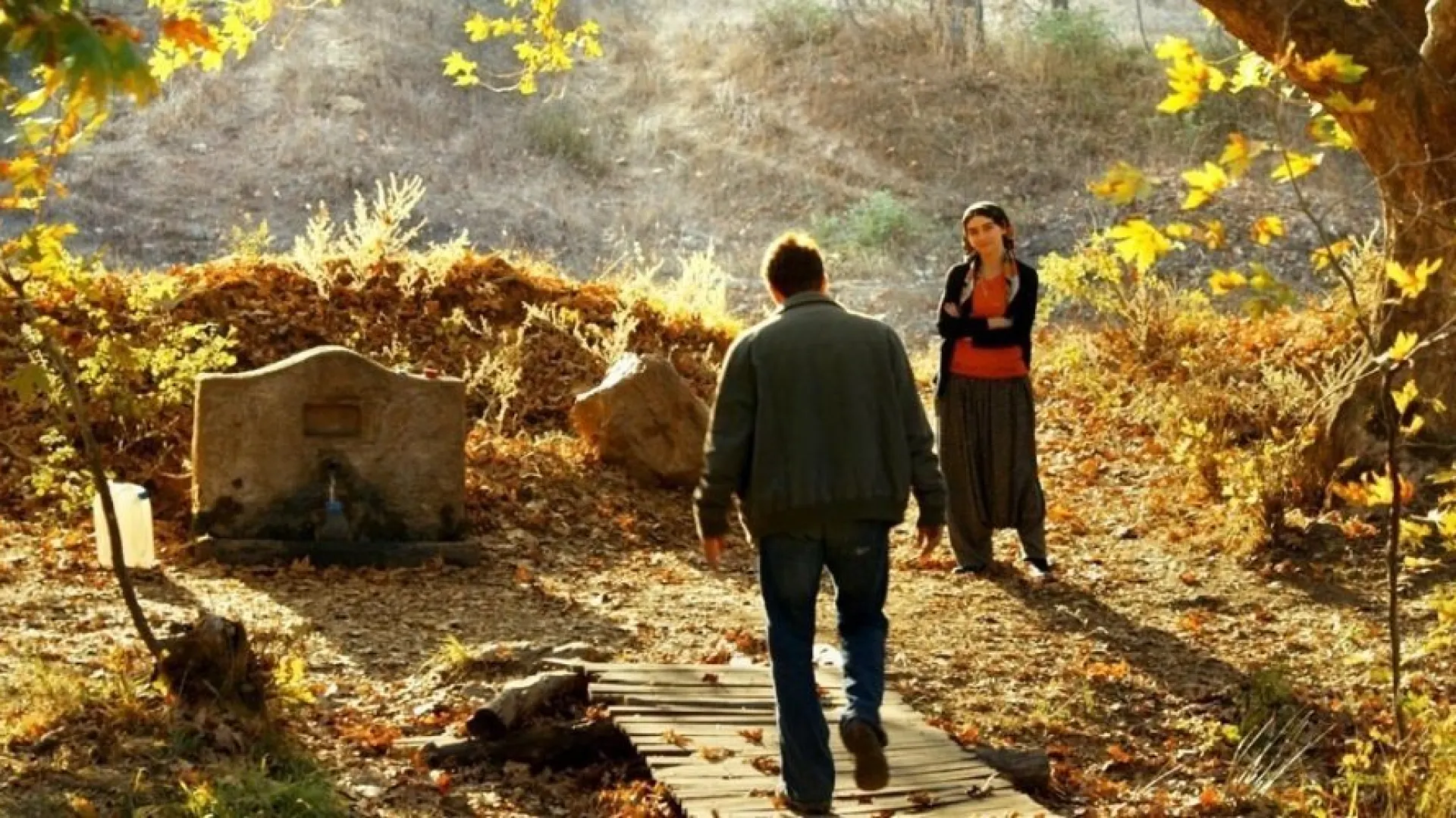 Background image for The Wild Pear Tree