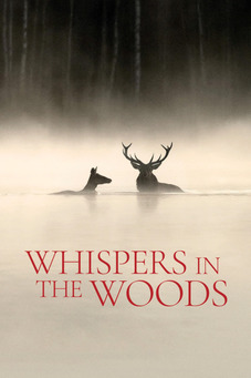 Whispers in the Woods