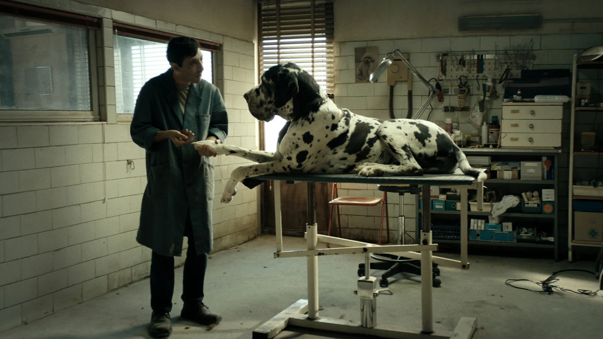 Background image for Dogman