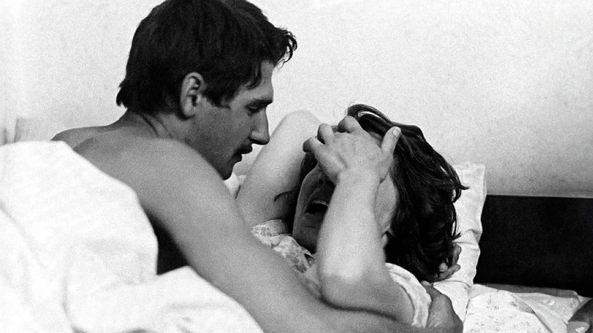 Background image for Family Nest (Csal�di t�zf�szek)