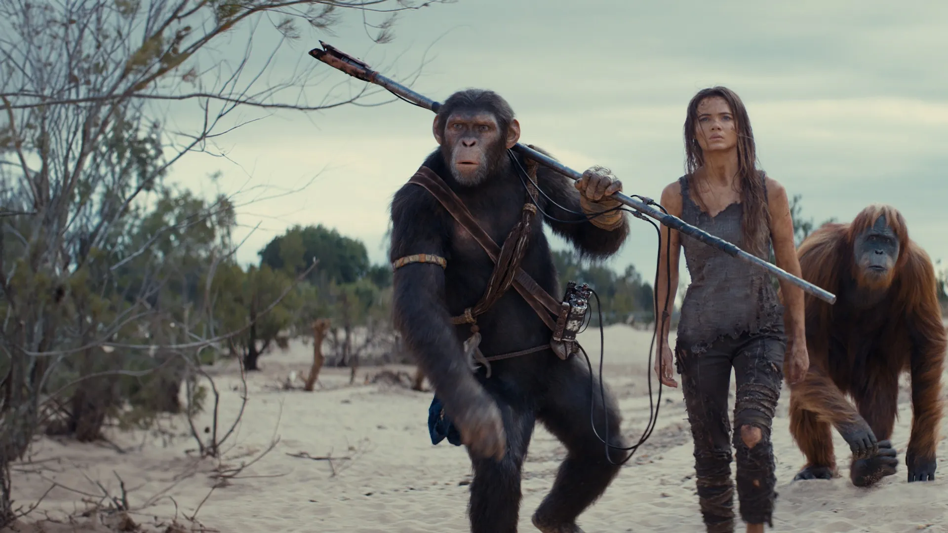 Kingdom of the Planet of the Apes