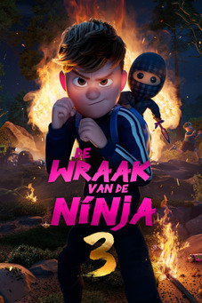 De Wraak van de Ninja 3