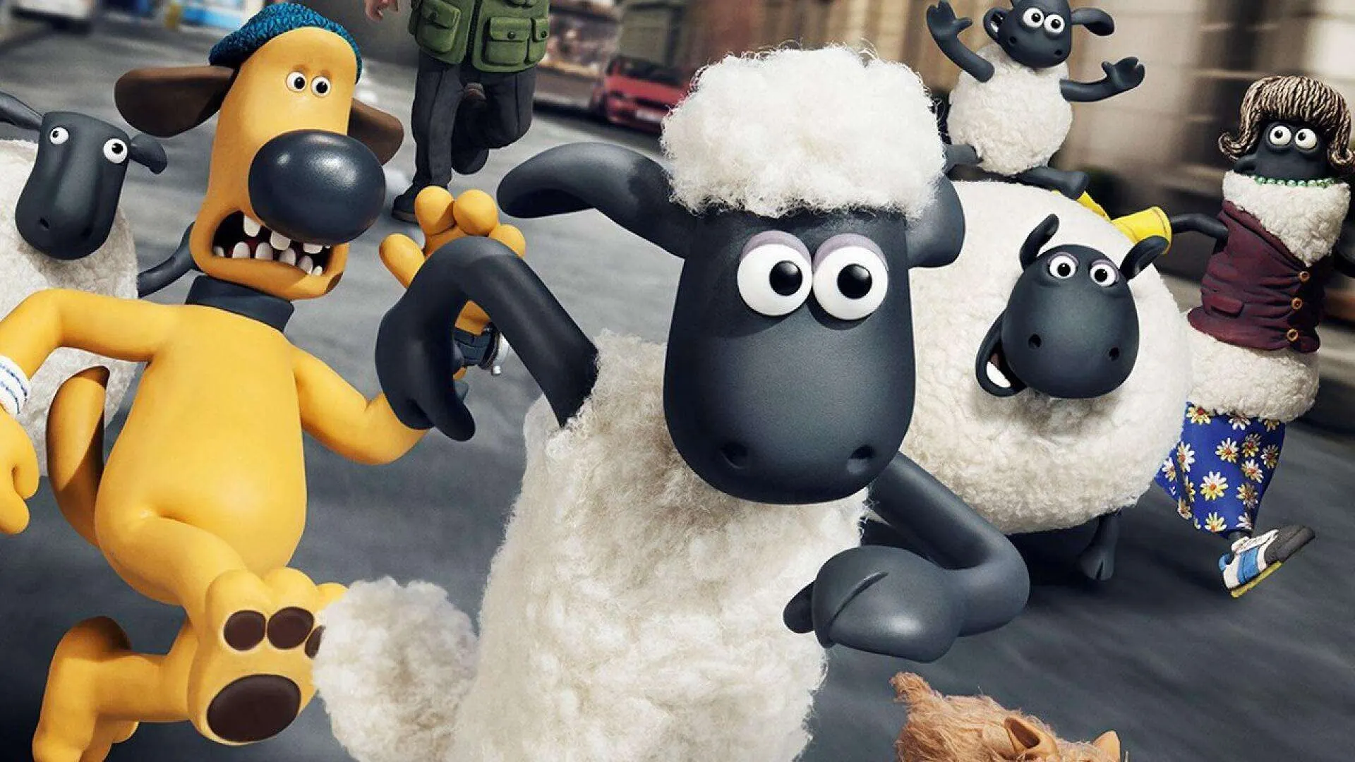 Background image for Shaun het Schaap