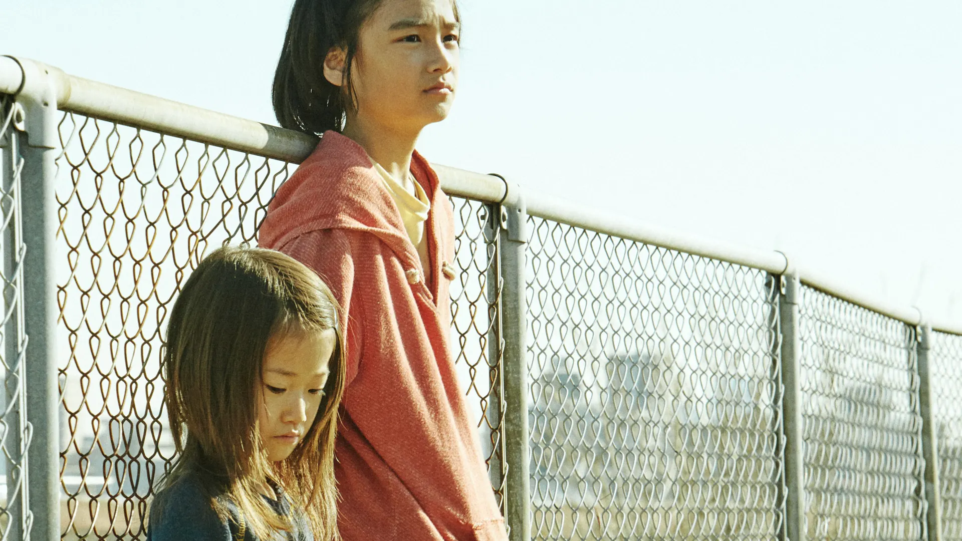Background image for Shoplifters