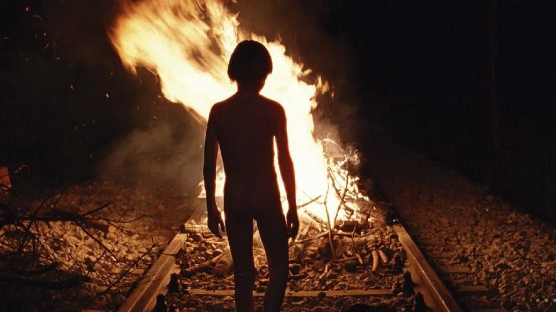 Background image for Le Temps du Loup