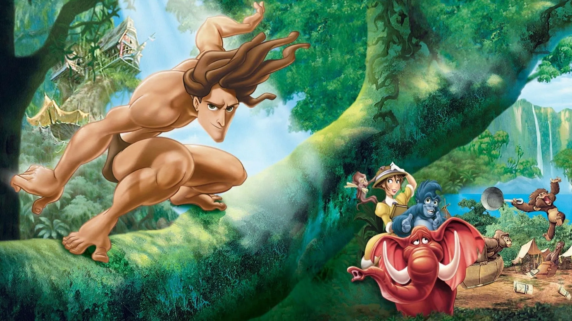 Tarzan (NL)