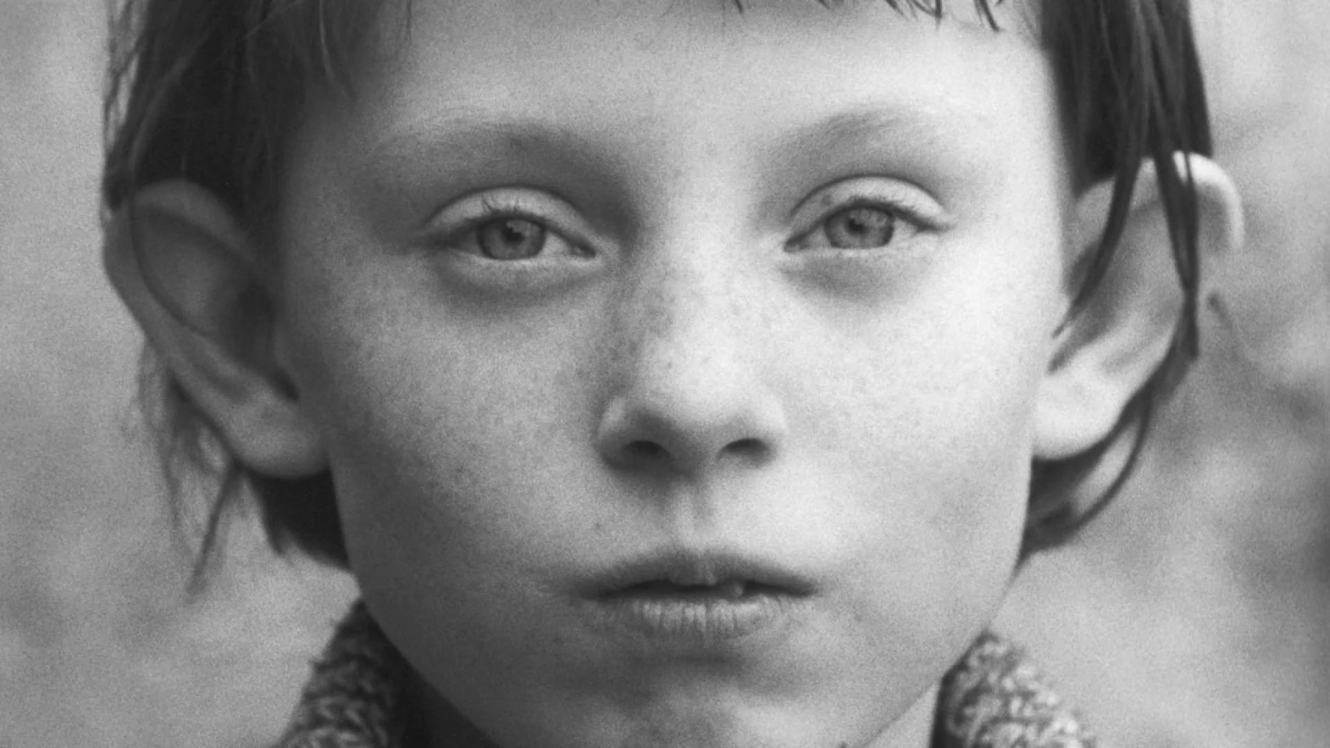 Background image for Satantango (S�t�ntang�)