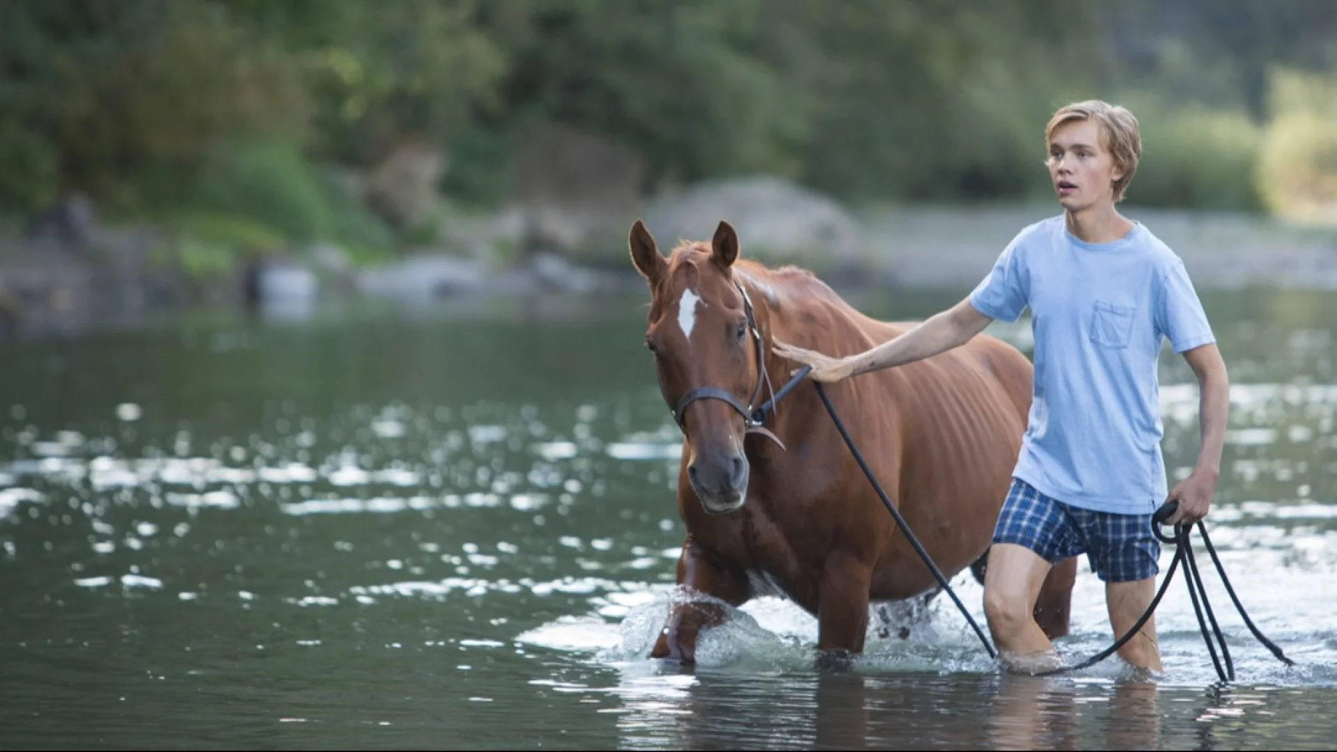 Background image for Lean on Pete
