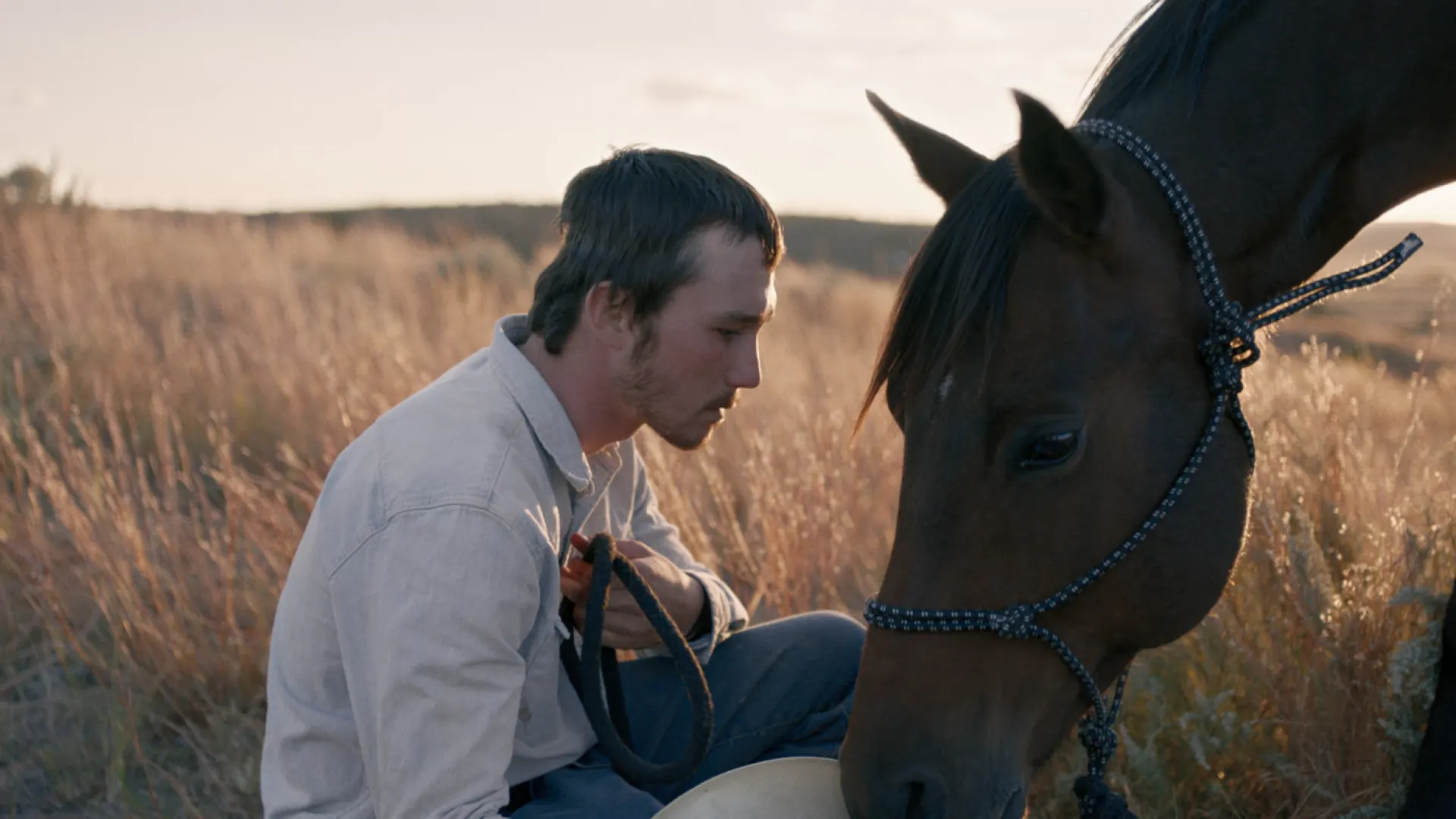 Background image for The Rider