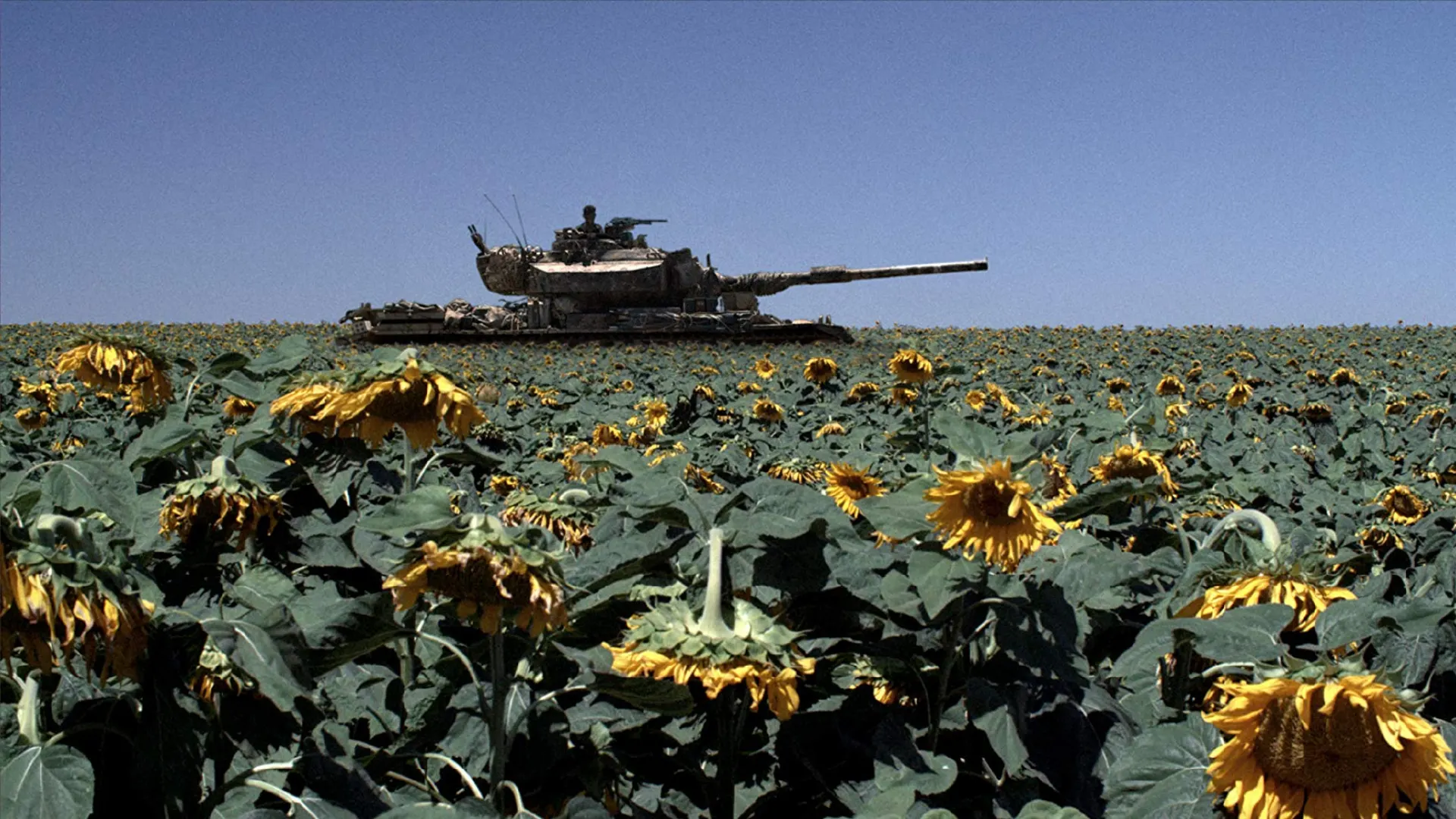 Background image for Lebanon