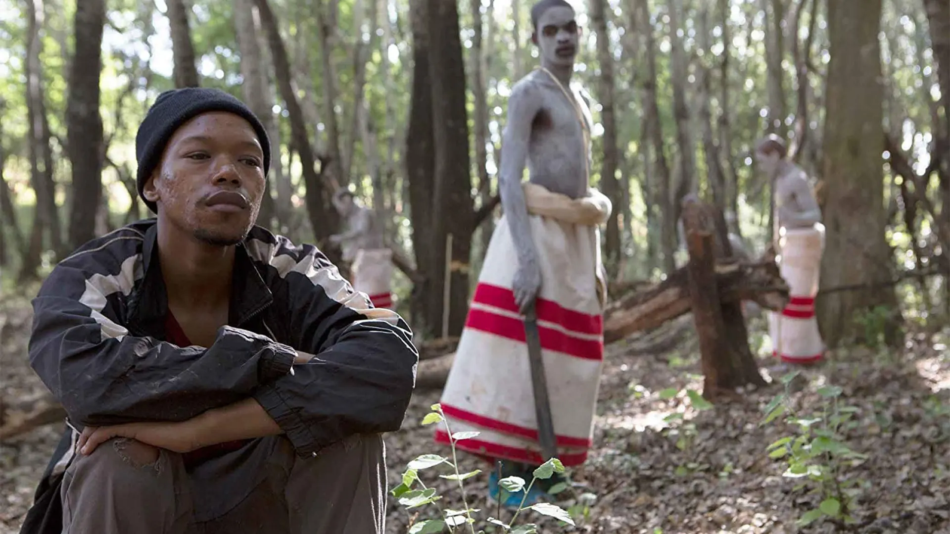 Background image for The Wound