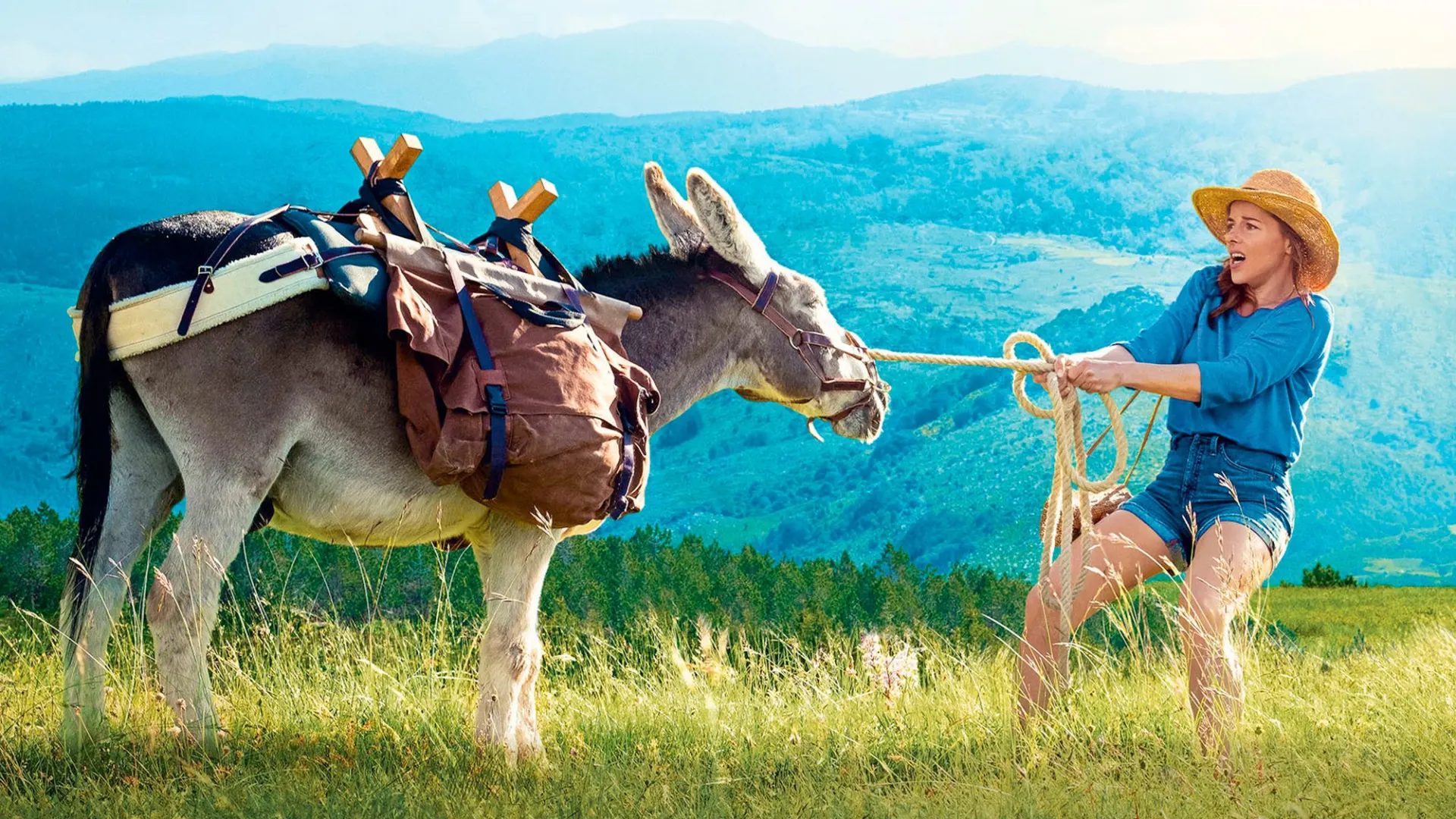 Background image for Antoinette dans les Cvennes