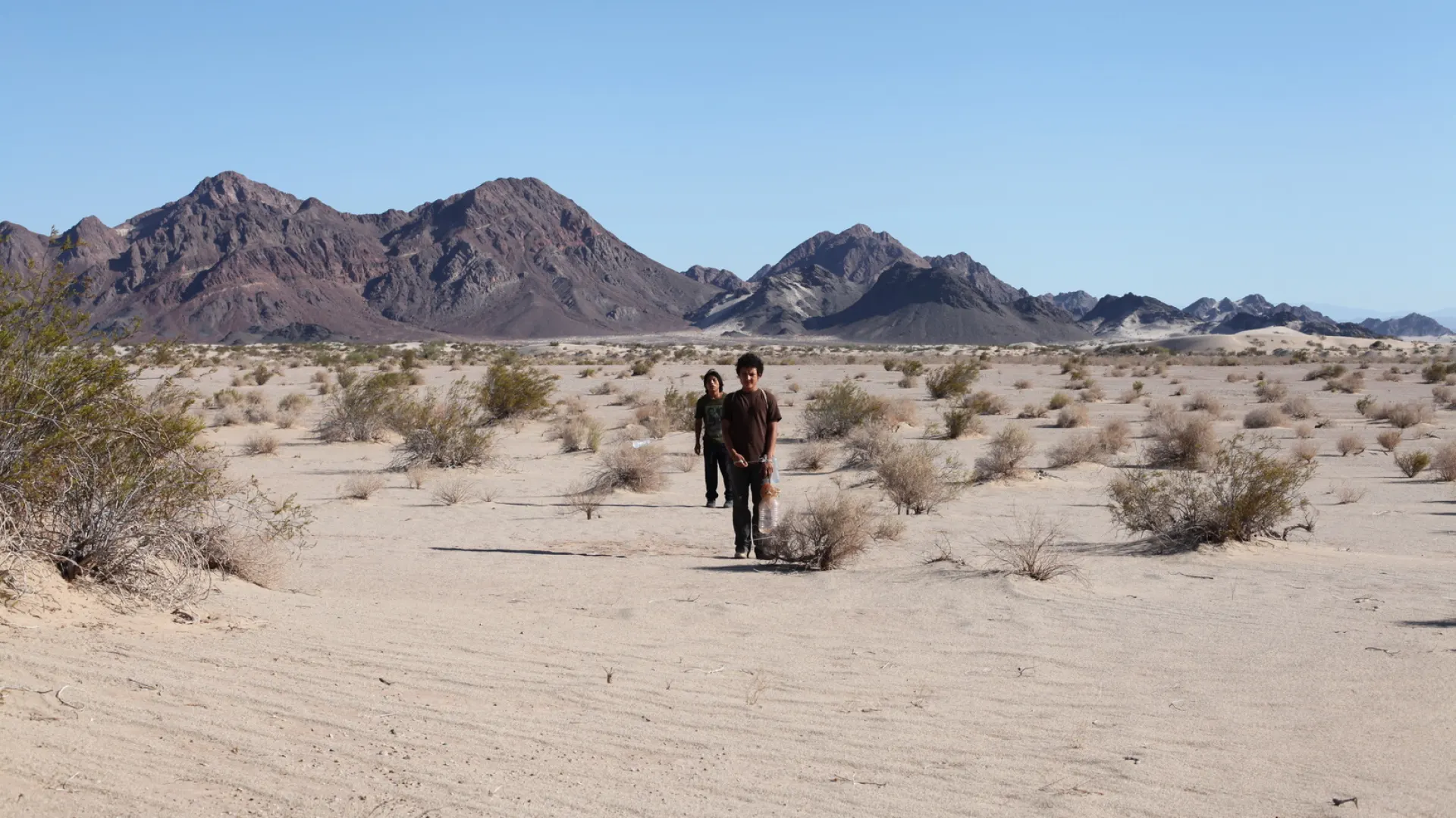 Background image for La Jaula De Oro