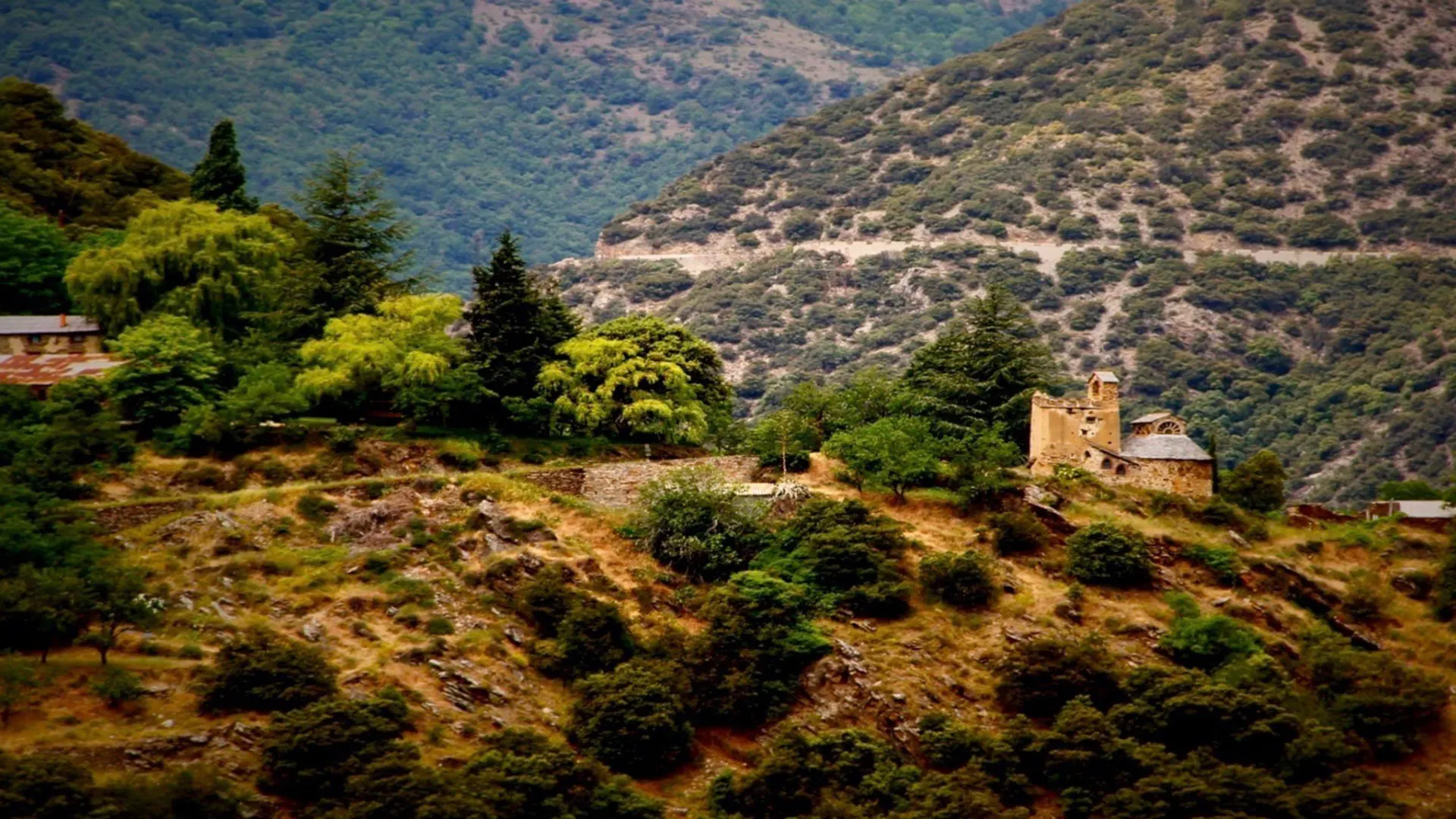 Background image for Miel-Emile