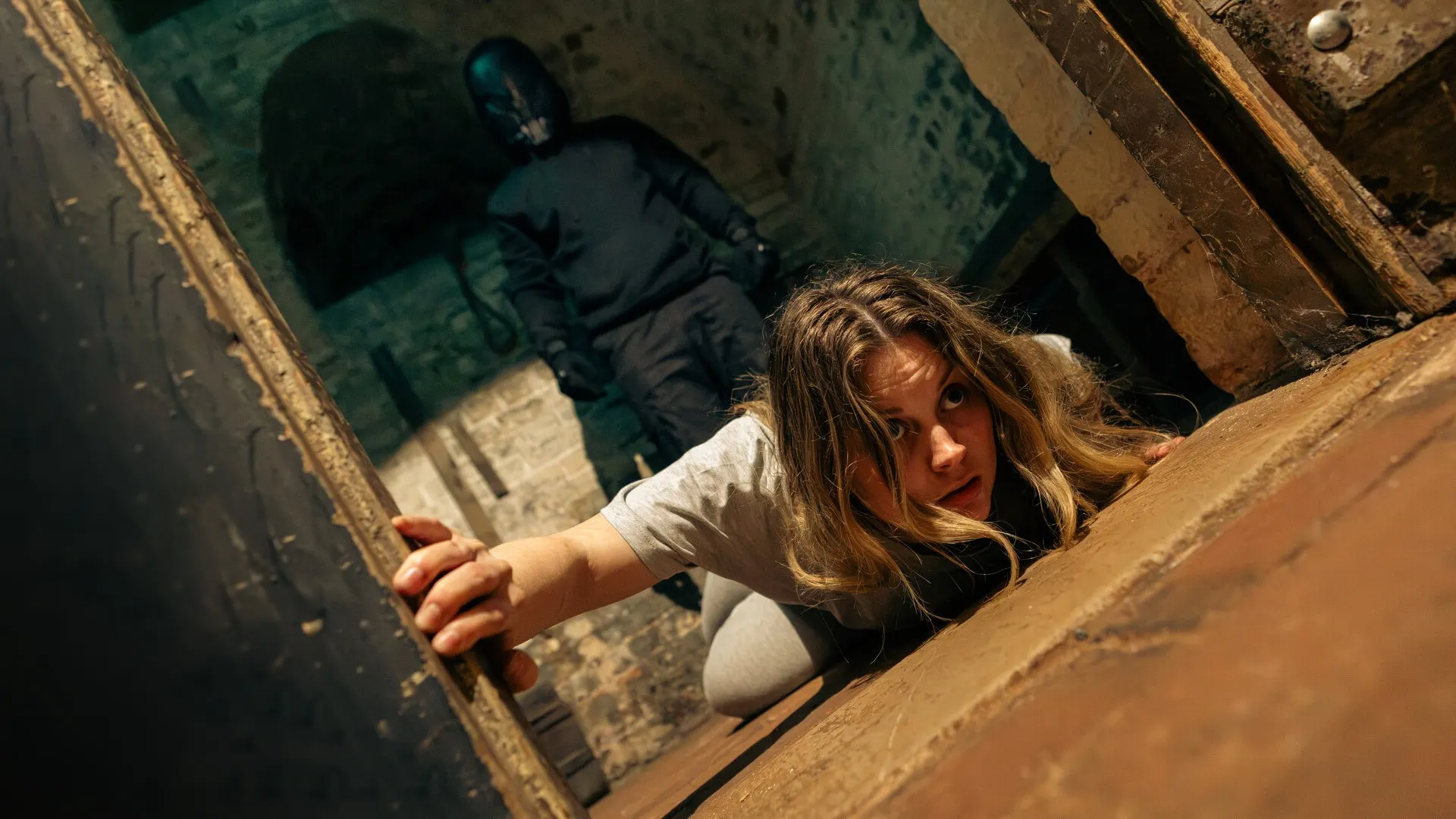 The Cellar