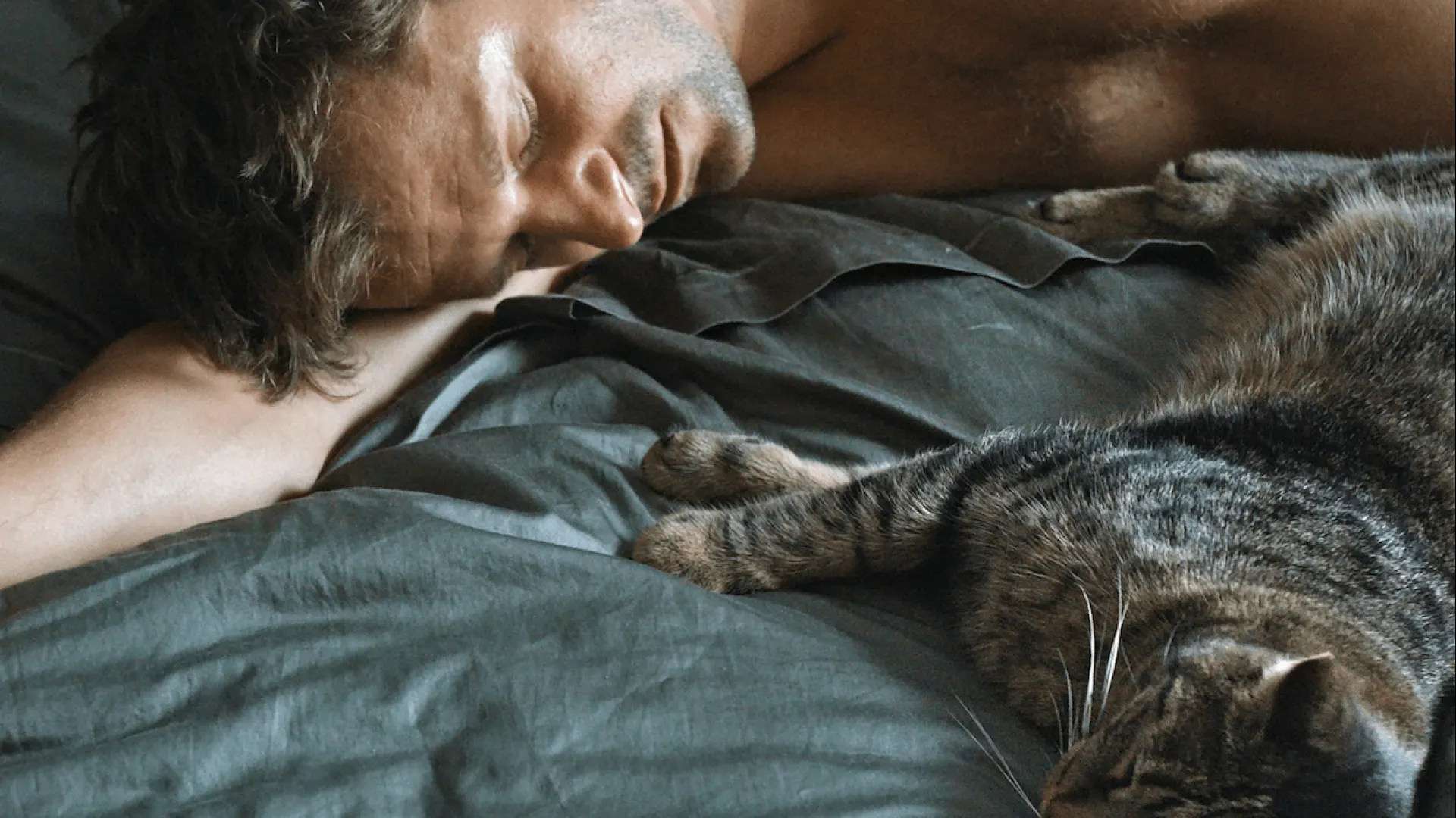 Background image for Kater