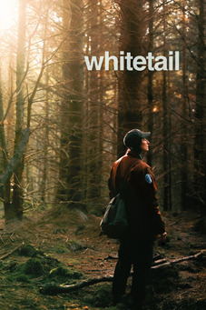 Whitetail