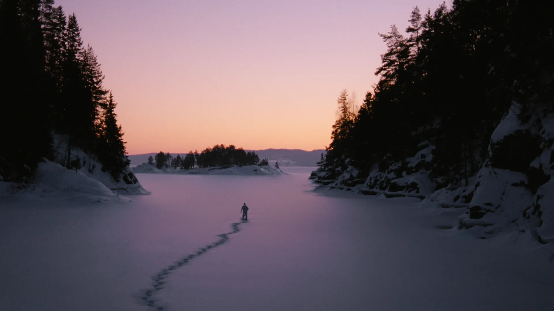 Background image for Essential Killing