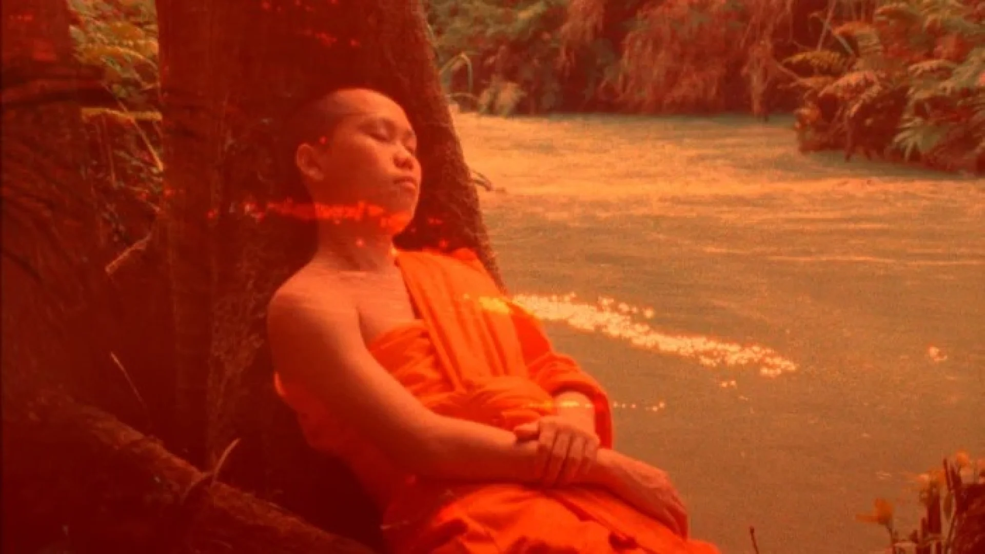 Background image for Samsara