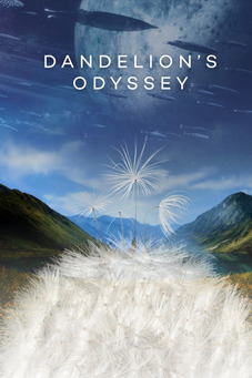 Dandelion's Odyssey