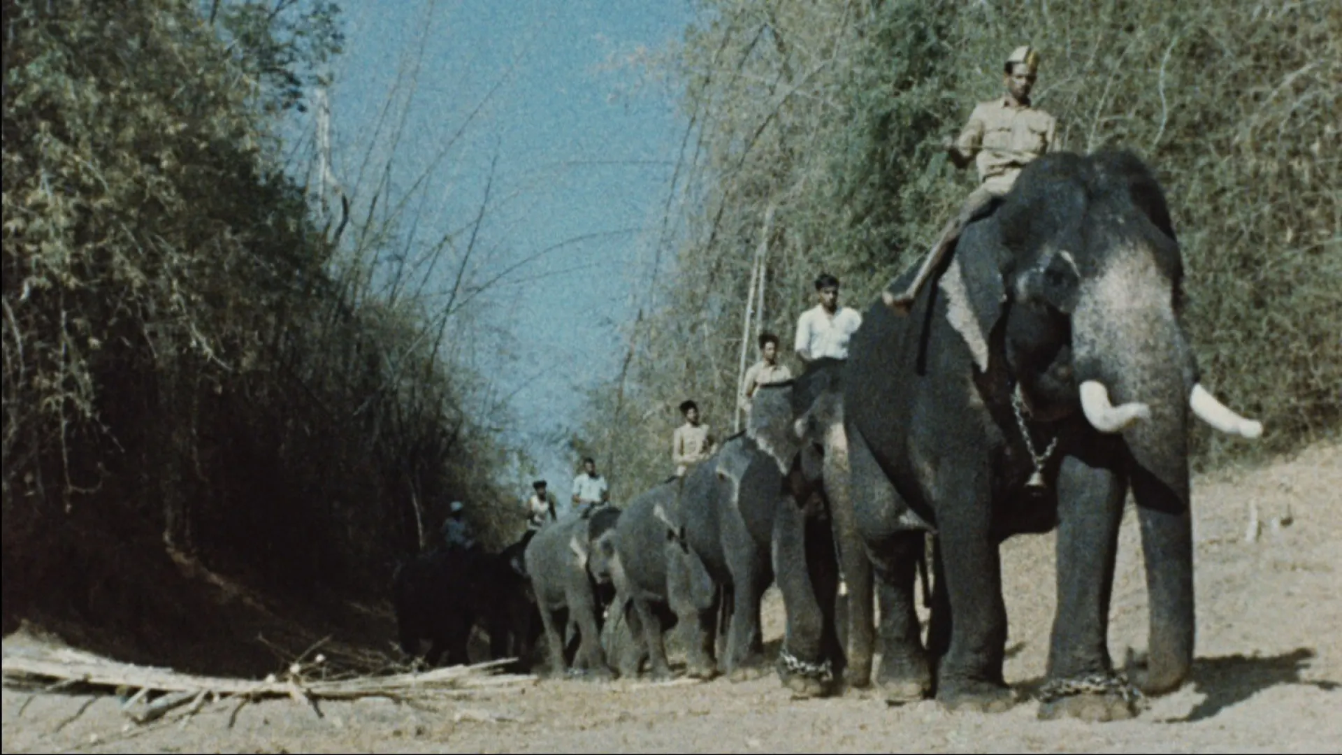 Background image for India: Matri Bhumi