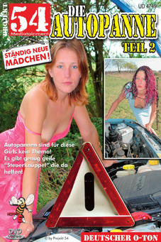 Die Autopanne Teil 2