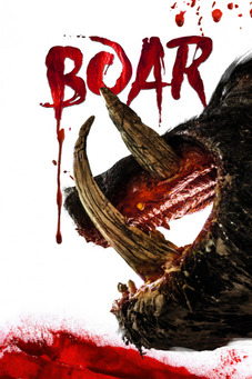 Boar