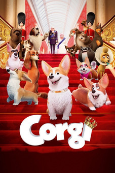 Corgi