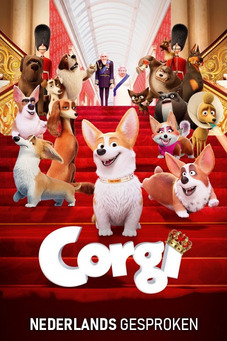 Corgi (NL)