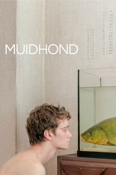 Muidhond