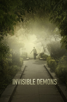 Invisible Demons