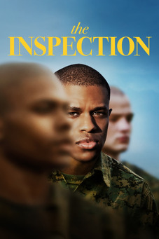 The Inspection