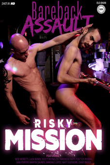Risky Mission