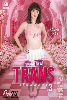 Brand New Trans Stunners 3